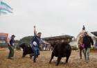 Resultado de la Jura de Angus del miércoles 27 de julio.