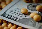 El nuevo dólar soja ya es oficial: todos los detalles del decreto y cómo el Gobierno espera sumar u$s 3000 millones