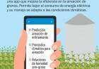 Desarrollan una app para la aireación y el almacenamiento de granos