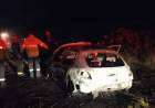 Se les cruzó un carpincho, lo chocaron y el auto se prendió fuego 