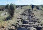 Robaron miles de metros de rieles entre Bahía Blanca y Patagones del Tren Patagónico