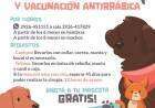 Castración y Vacunación Antirrábica Gratuita