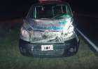 Una ambulancia chocó contra un vacuno en la Ruta Nacional 205