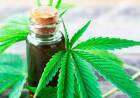 Extienden la vigencia del certificado de autorización para el autocultivo de marihuana con fines medicinales