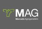 Mercado Agroganadero