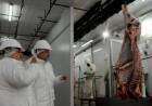La carne vacuna vuelve a exportarse desde el puerto de Bahía Blanca 