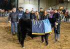 El Gran Campeón ternero fue para Indio Nuevo y la Gran Campeón Ternera para Spinella