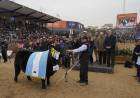 La Gran Campeón Hembra fue para Los Murmullos y la Reservada para Spinella