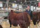 Cabaña Don Benjamín se destacó con Polled Hereford en la Expo Rural 2023