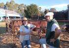 Exhibición de toros de Cabaña AMA2: “Cuando uno quiere, puede”