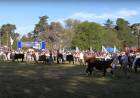 Desfile de los Grandes Campeones de la Exposición Rural