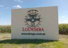 Carne de cerdo “Lo De Seba”: modelo de valor agregado a la producción primaria