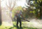 Dengue en la provincia: 41 municipios en brote, más de 35 mil casos y 25 personas fallecidas