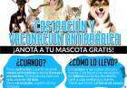 Castración y Vacunación Antirrábica