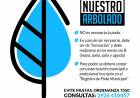 Ambiente y la Comisión Municipal de Arbolado y sus consejos para el cuidado del arbolado urbano