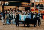 El Supremo Gran Campeón Angus fue para La Rubeta, el macho, y para Tres Marías, la hembra