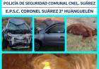 Casi una tragedia: una mujer embistió dos novillos en ruta 85
