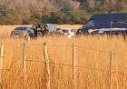 Caso Loan: La jueza encabeza por primera vez un procedimiento en el campo