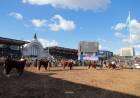 Se lanzó oficialmente la Expo Centenario de Hereford