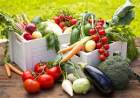 Huerta de primavera y verano. Claves para sembrar  correctamente , aprender a compostar y lograr un buen suelo