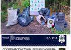Importante secuestro de plantas de marihuana llevado a cabo por el CPR Cnel Suarez