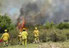 Un incendio en un campo de Pedro Luro consumió más de 500 hectáreas