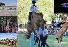 Tradición y cultura en una nueva edición de la Fiesta del Reservado en la Laguna Las Encadenadas