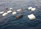 Bolsos en la ría de Bahía Blanca: la posible conexión con un cártel de drogas