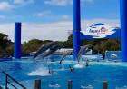 El Aquarium Mar del Plata cierra sus puertas después de más de 30 años