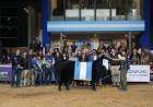 La Gran Campeón Hembra Negra fue para La Alianza y la Colorada para La Rubeta