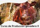 Curso de Producción Ganadera II
