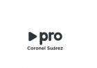El PRO de Coronel Suárez no será parte de la lista local de La Libertad Avanza.