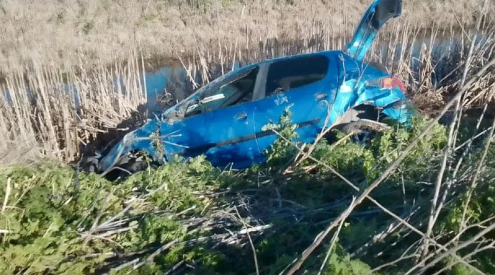Un auto esquivó un carpincho y terminó volcando en ruta 51: hay tres heridos