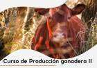 Curso de Producción Ganadera II