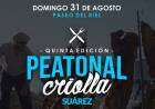 Se viene la 5° edición de la Peatonal Criolla en Coronel Suárez