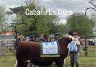 La Tigra obtuvo el primer premio en Gran Campeón Macho PP