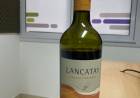 Amado Elorriaga - "El Señor del Vino"