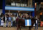 Angus: la exposición de Otoño ya tiene más de 1000 reproductores preinscriptos