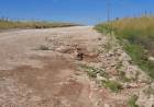 Una veintena de proyectos para el agro “duermen” en la Legislatura bonaerense