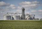 “Continúa elevado”: el Estado se lleva con impuestos el 61,9 por ciento de lo que genera una hectárea agrícola
